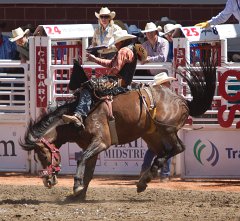 Calgary Stampede-1415